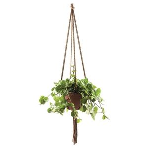2 brown plant hangers